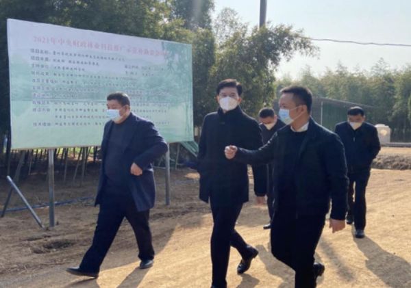 �������˴��������갲���������ָ����ҵ��չ